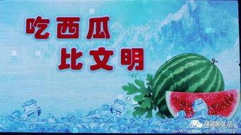 娱乐吃瓜酱广告语大全